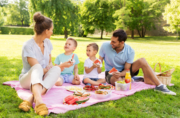 The Top 10 Places to Have a Family Picnic in Rockland and Bergen Counties