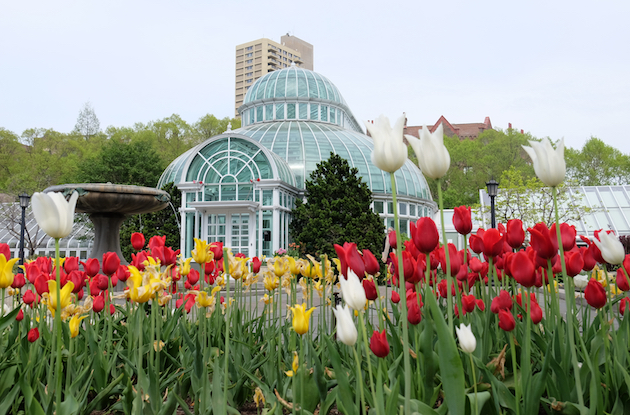 Nature Centers and Botanical Gardens in the NYC Area