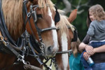 Fall Adventures at Fort Ticonderoga