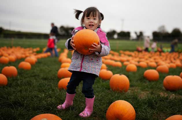 20 Pumpkin Patches in NYC & Nearby That Kids of All Ages Will Love