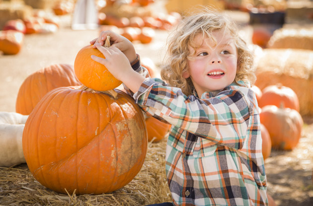 The Top 11 Places to Go Pumpkin Picking in Rockland County, NY & Nearby