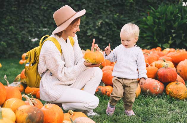 11 Awesome Spots to Go Pumpkin Picking in Westchester County and Nearby