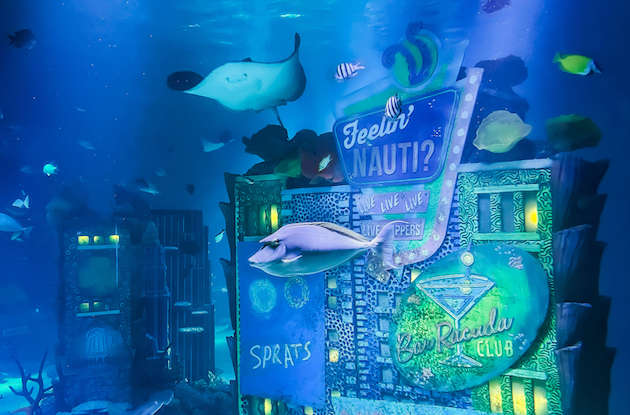 New Jersey SEA LIFE Aquarium to Open at American Dream on May 4