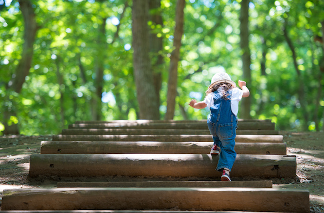 Tips for Choosing a Toddler Summer Camp