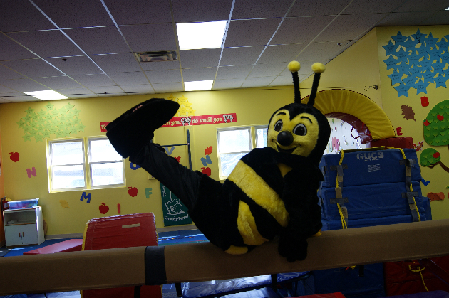 Former Student is New Owner of Tumble-Bee Gymnastics in Rockland