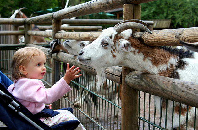 These are the Top Zoos in Rockland, Orange, and Bergen Counties